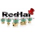 ASCO RedHat Solenoid Valves